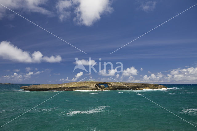 Kahuku Makahoa Point