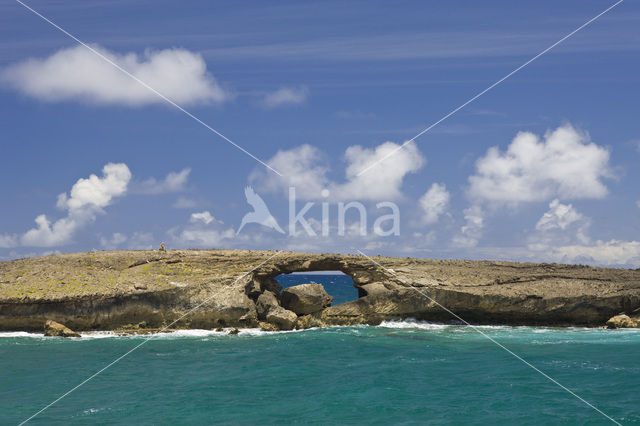 Kahuku Makahoa Point