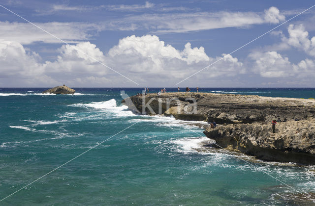 Kahuku Makahoa Point