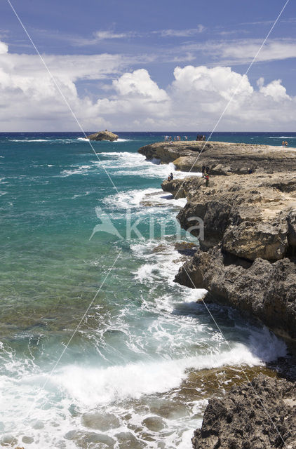 Kahuku Makahoa Point