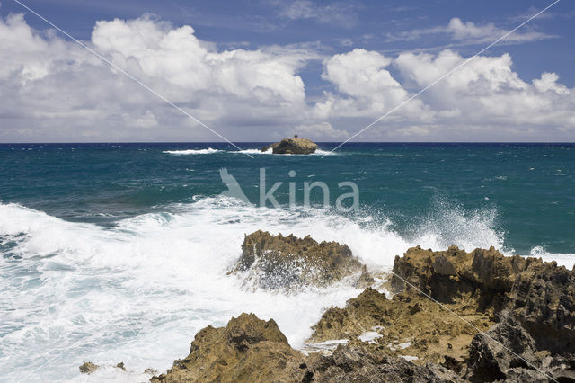 Kahuku Makahoa Point