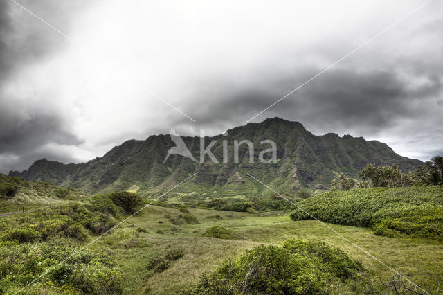 Koolau Ranch