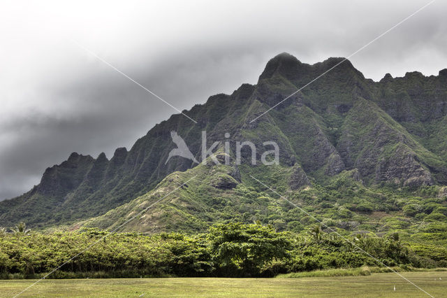 Koolau Ranch