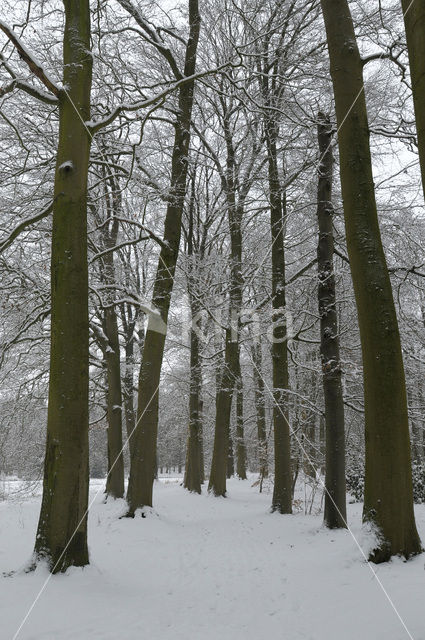 Landgoed De Colckhof