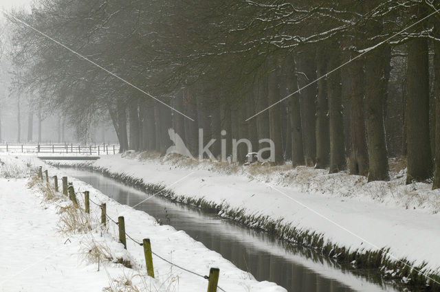 Landgoed Den Alerdinck