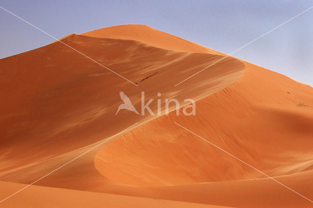 Libyan Desert