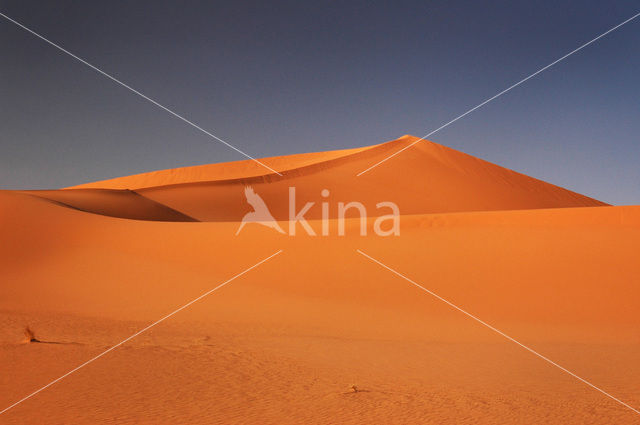 Libyan Desert