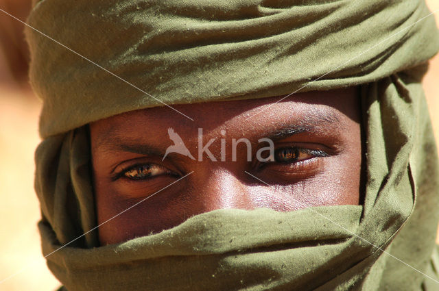 Libyan Desert