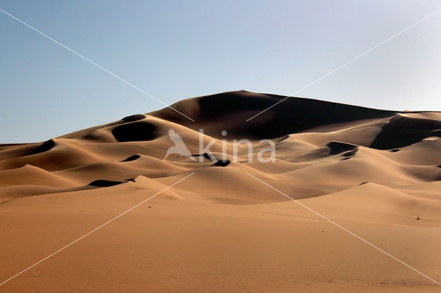 Libyan Desert