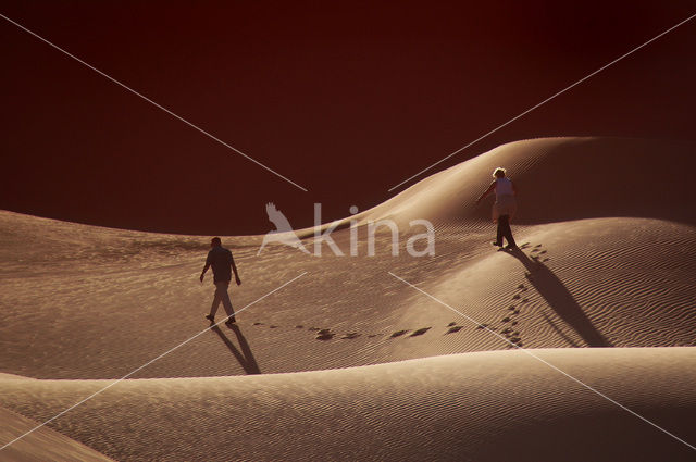 Libyan Desert