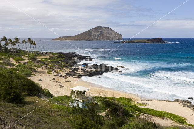 Makapuu Beach