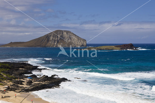 Makapuu Beach