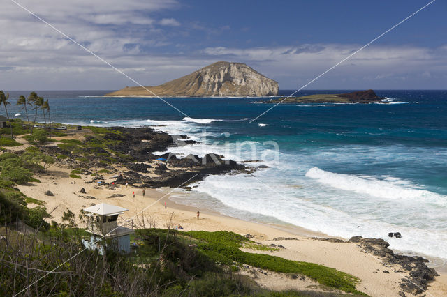 Makapuu Beach