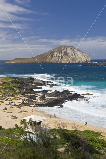 Makapuu Beach