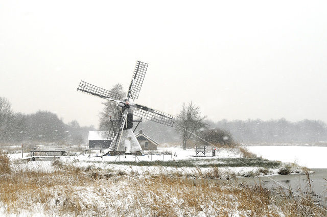 National Park Weerribben-Wieden