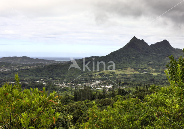 Nuuanu Pali