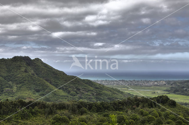 Nuuanu Pali