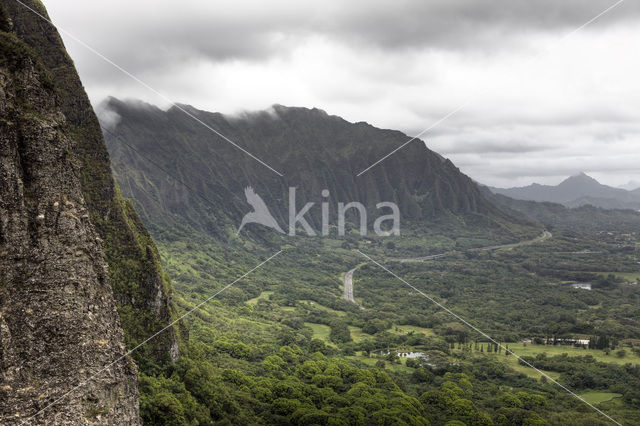 Nuuanu Pali