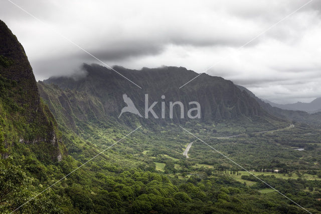 Nuuanu Pali