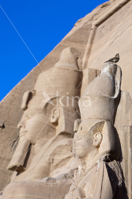 Tempel van Farao Ramses II