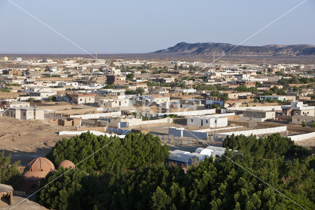 Bahariya Oasis