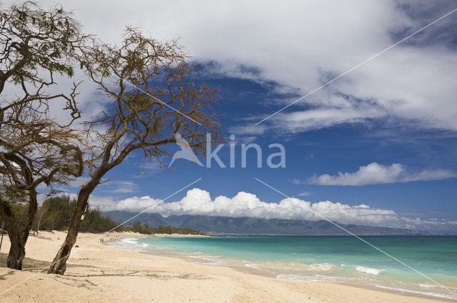 Kanaha Beach Park