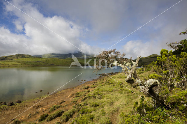 Lagoa do Capitao