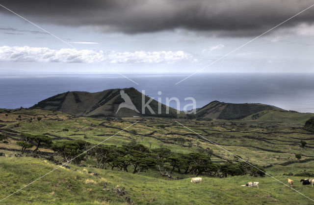 Pico Vulkaan