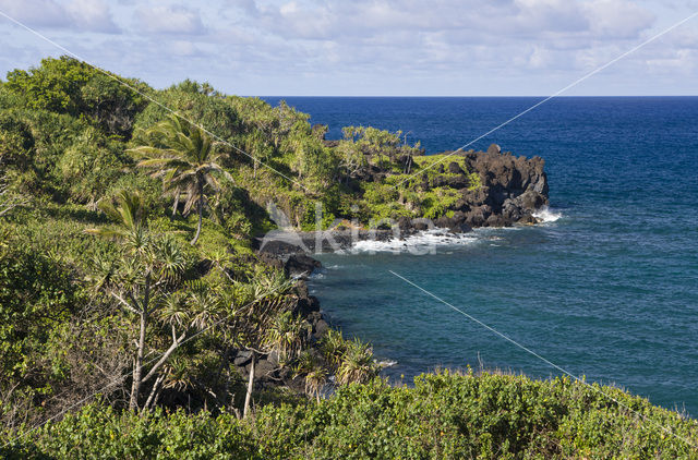 Waianapanapa State Park