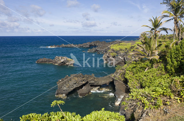 Waianapanapa State Park