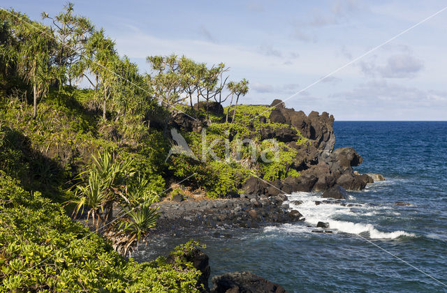 Waianapanapa State Park