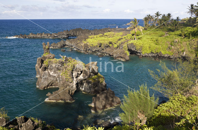 Waianapanapa State Park