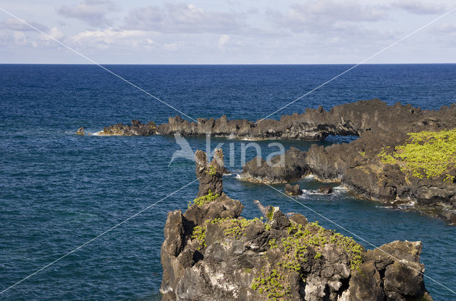 Waianapanapa State Park