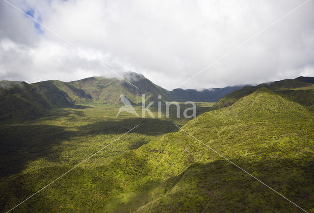 Waihoi Valley