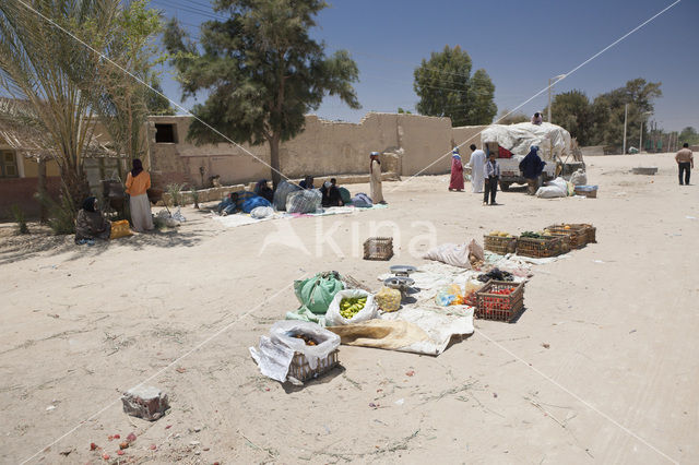 Dakhla Oase