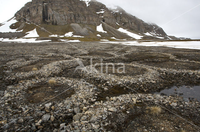 Engelsbukta