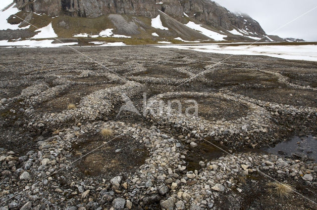 Engelsbukta