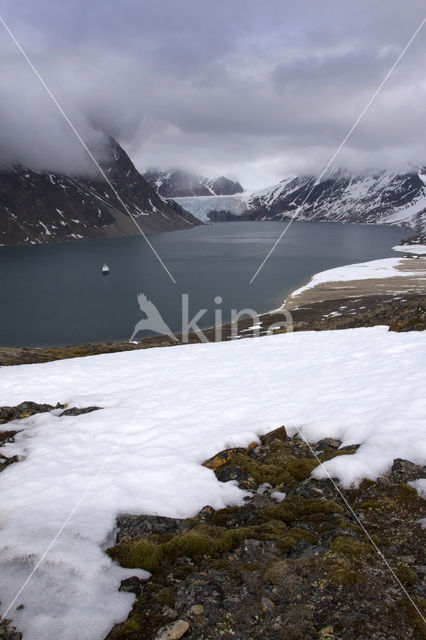 Kollerfjord