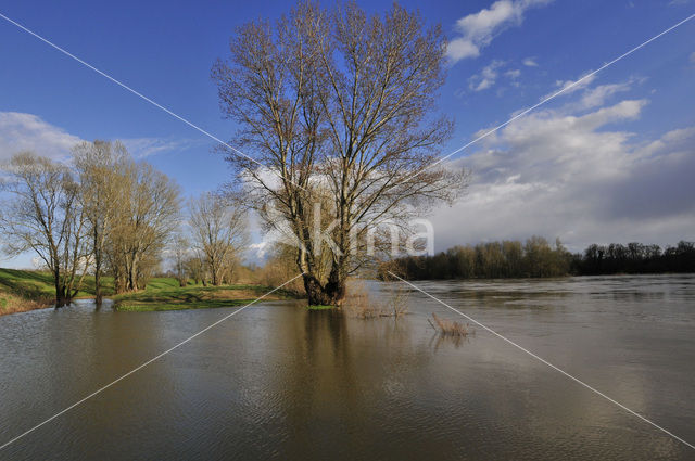 Loire