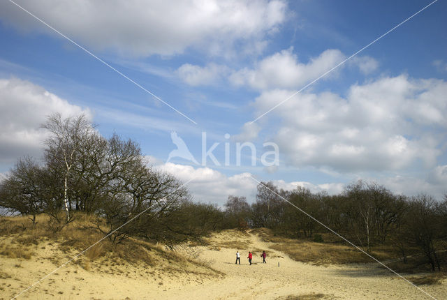 Nationaal Park Loonse en Drunense Duinen