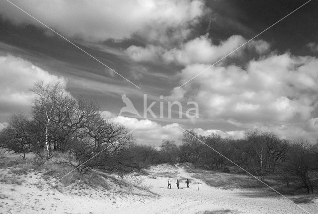 Nationaal Park Loonse en Drunense Duinen