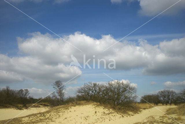 Nationaal Park Loonse en Drunense Duinen