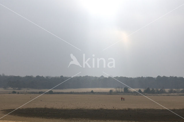 Nationaal Park Loonse en Drunense Duinen