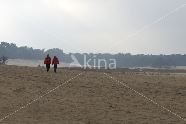 Nationaal Park Loonse en Drunense Duinen