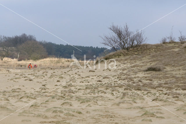 Nationaal Park Loonse en Drunense Duinen