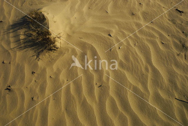 Nationaal Park Loonse en Drunense Duinen