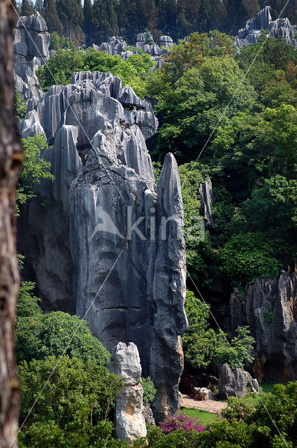 Shilin National Park