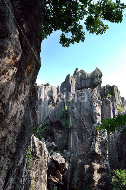 Shilin National Park