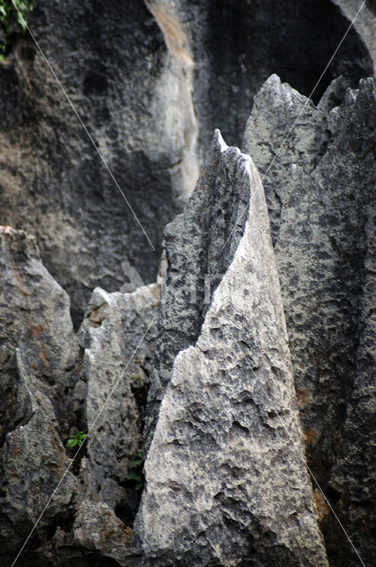 Shilin National Park