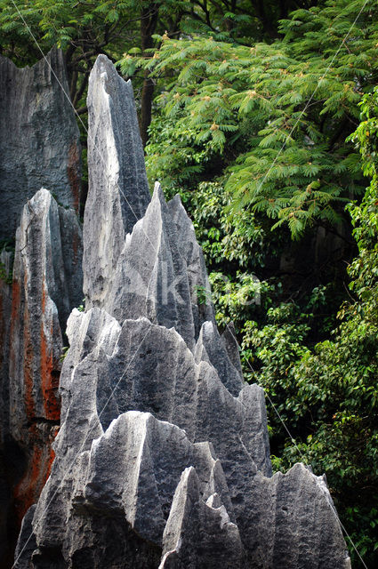 Shilin National Park